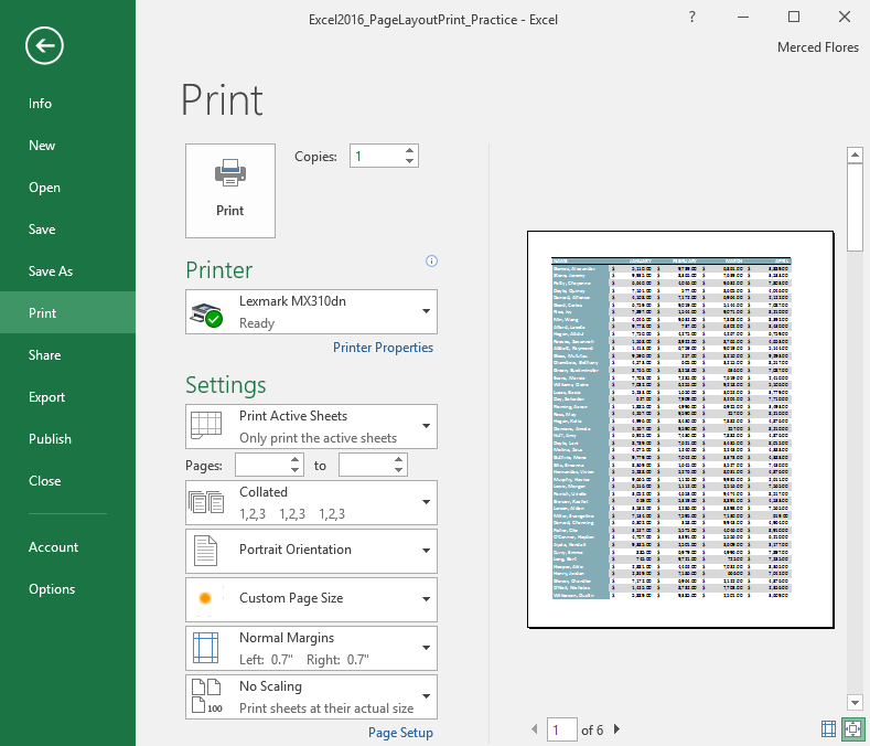 excel-2016-page-layout-and-printing-page-1