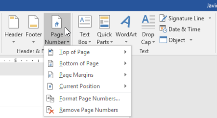 The Page Number command on the Insert tab.