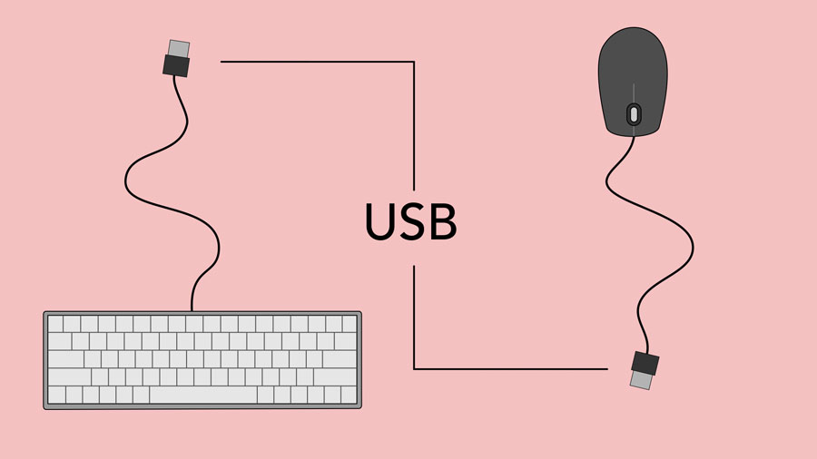 Computer Basics: Setting Up a Computer