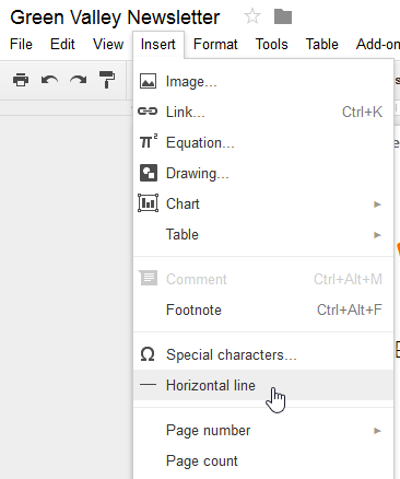 how to add a footnote in google docs