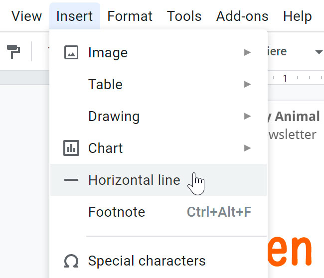 selecting horizontal line from the insert drop-down menu
