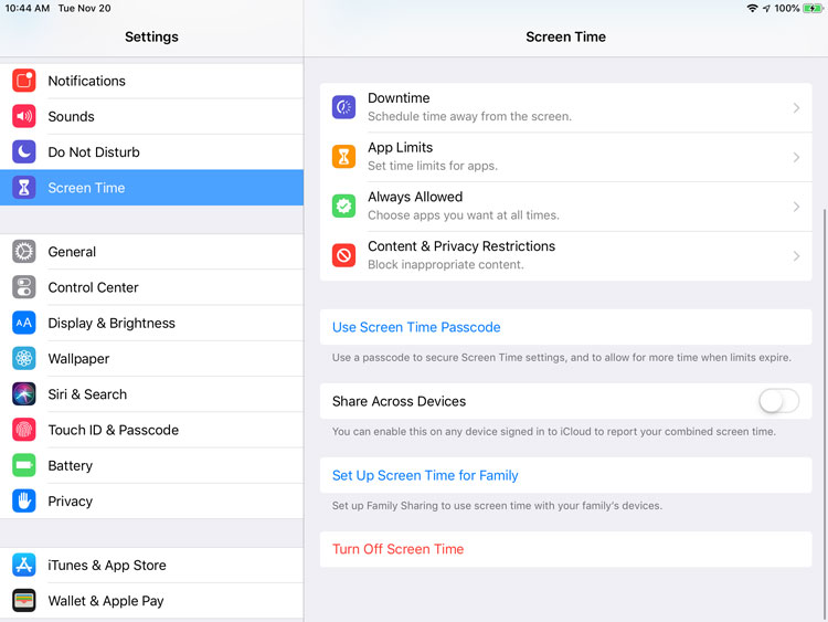 iPad Basics: Security and General Settings