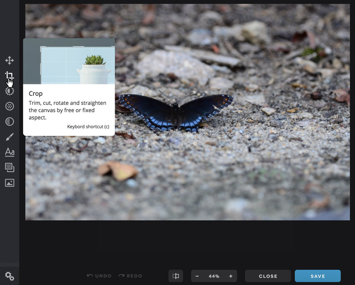 A screenshot of the Pixlr X interface.