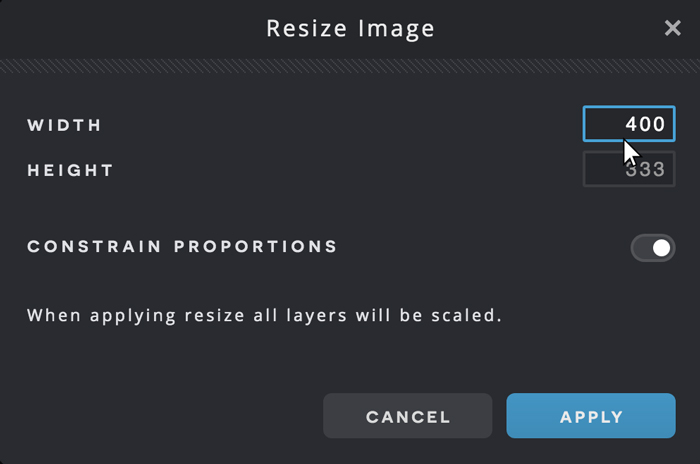 A screenshot of the Pixlr X Resize Image menu.