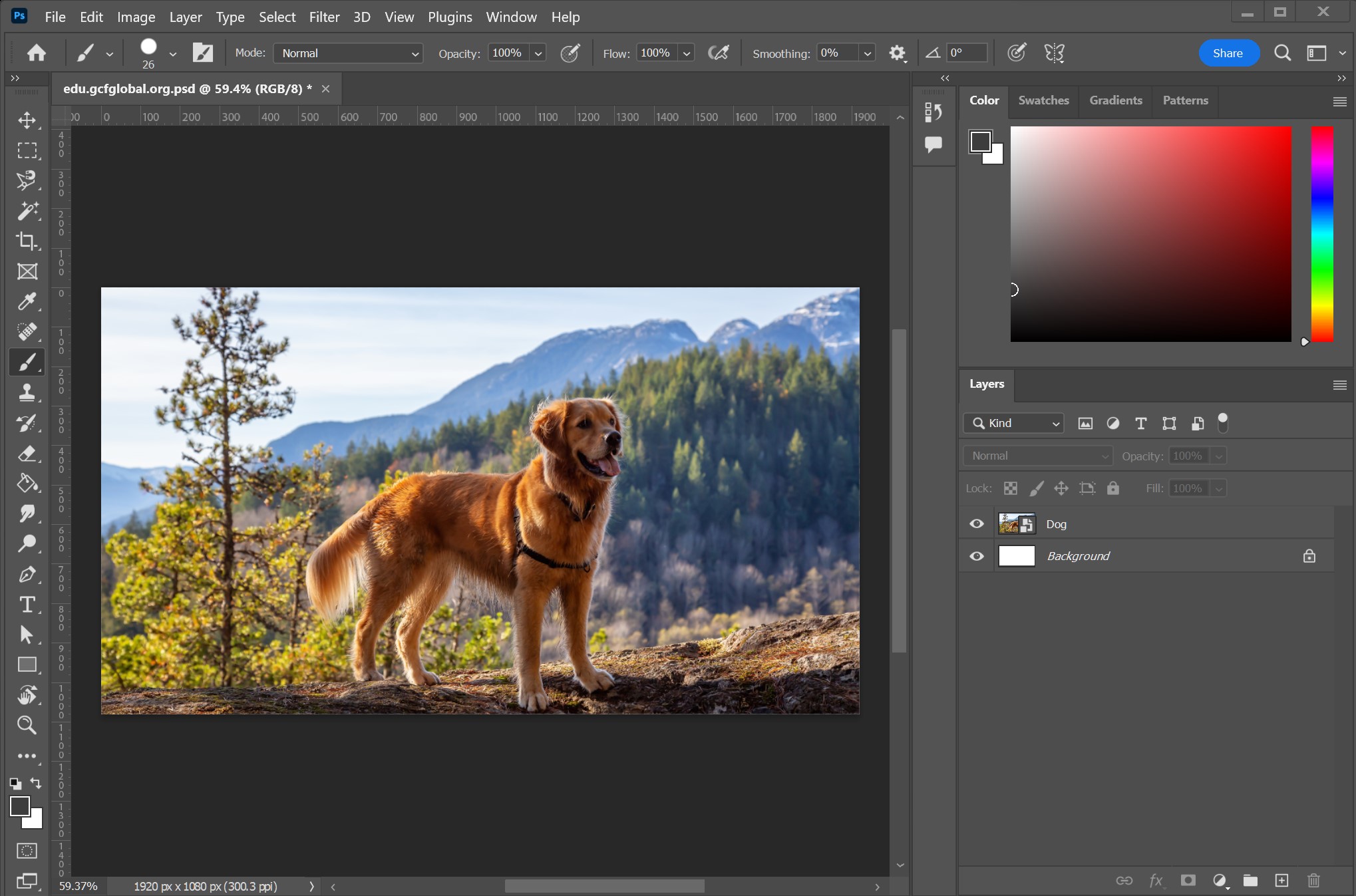 Photoshop Basics: Getting to Know the Photoshop Interface