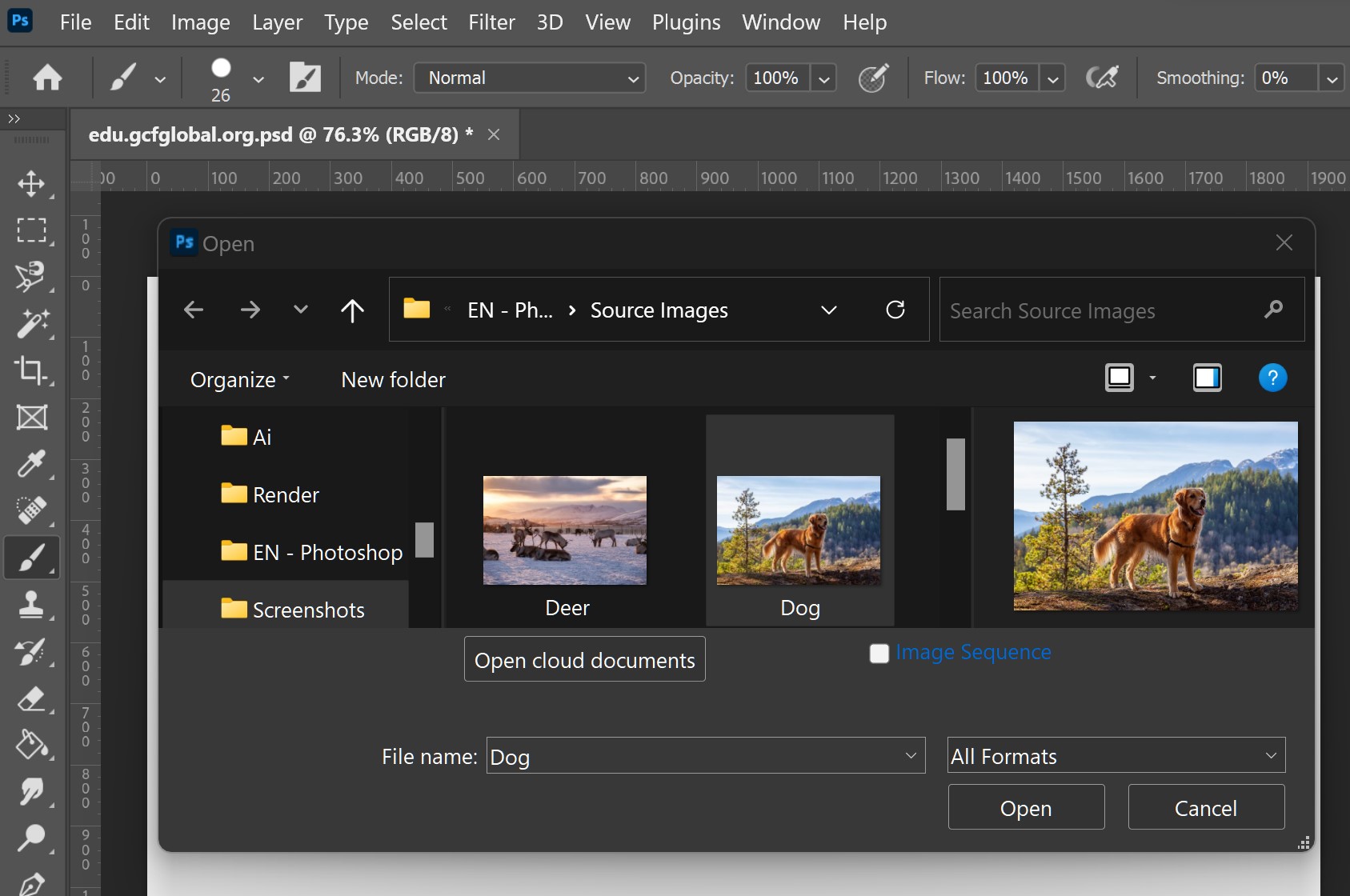 Photoshop Basics: Getting to Know the Photoshop Interface