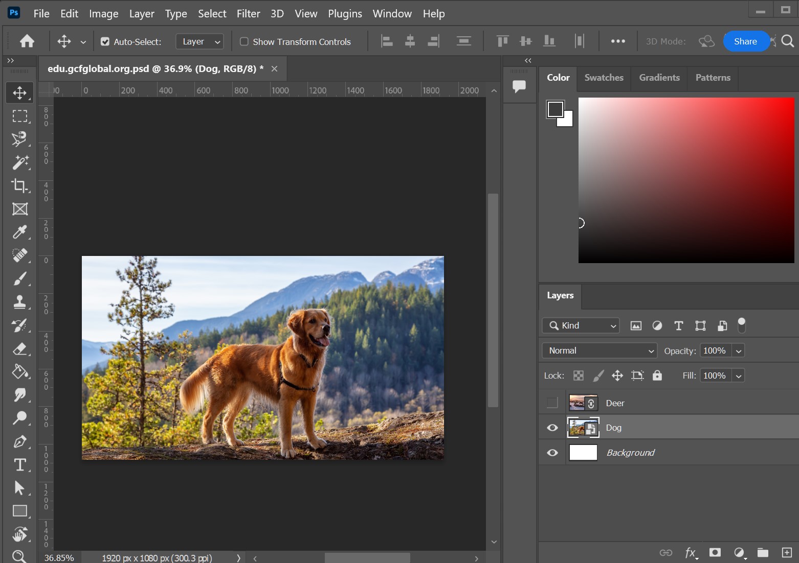 Photoshop Basics: Getting to Know the Photoshop Interface