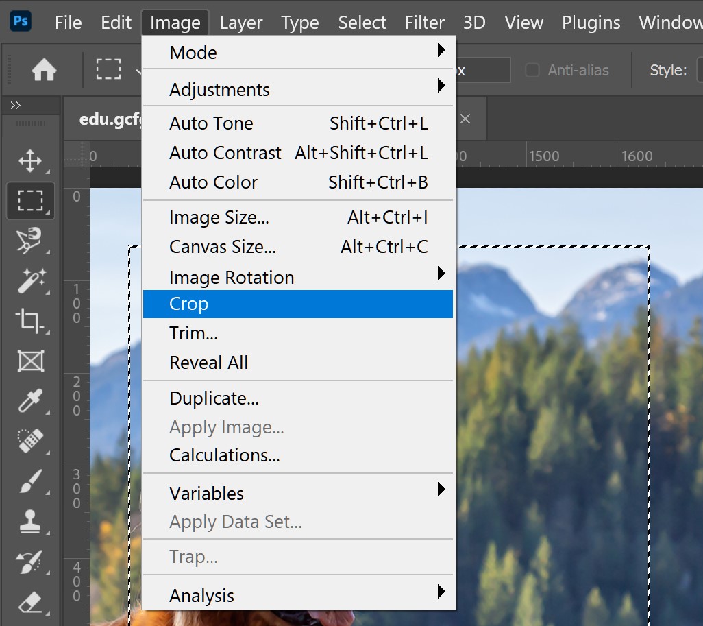 How to Crop an Image in Photoshop