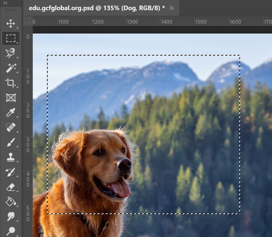 How to Crop an Image in Photoshop