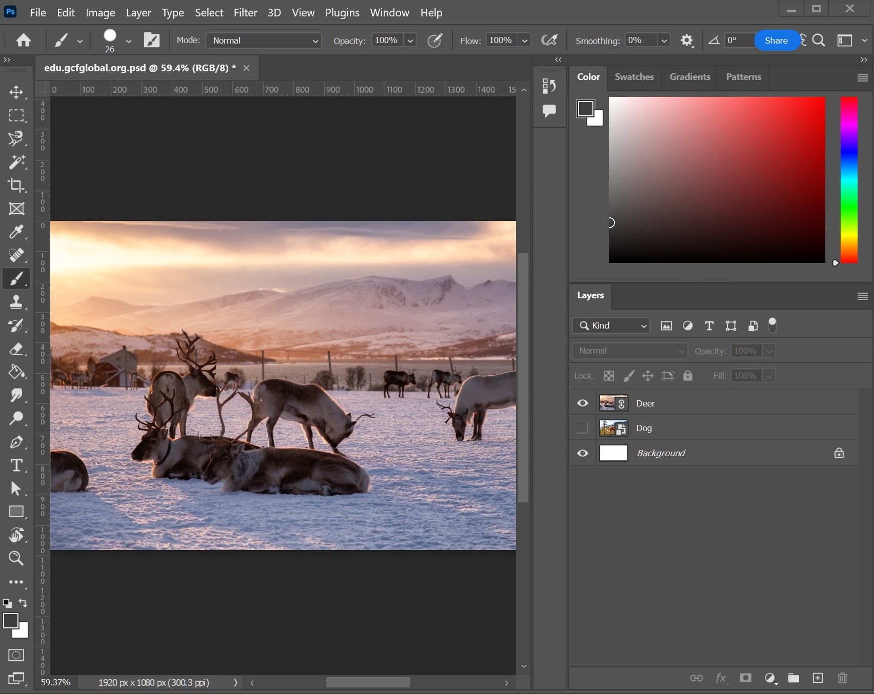 adobe photoshop basic free download