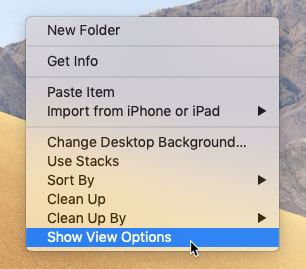 screenshot of selecting Show View Options after right-clicking on the desktop