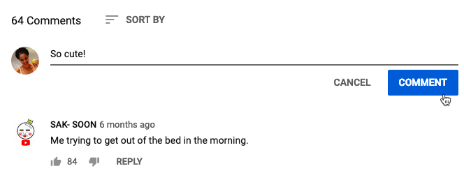 screenshot of posting a comment on YouTube