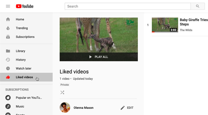 screenshot of the Liked videos playlist on YouTube