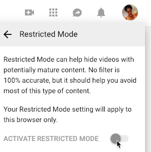 screenshot of activating Restricted Mode