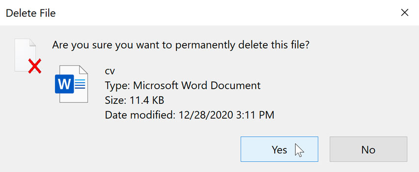 dialog box to confirm choice to delete the file