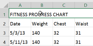 Excel 2016 Formatting Cells