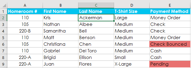 a spreadsheet sorted by last name
