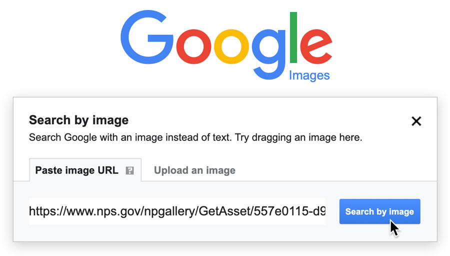 How do I copy and paste an image into Google Image Search?