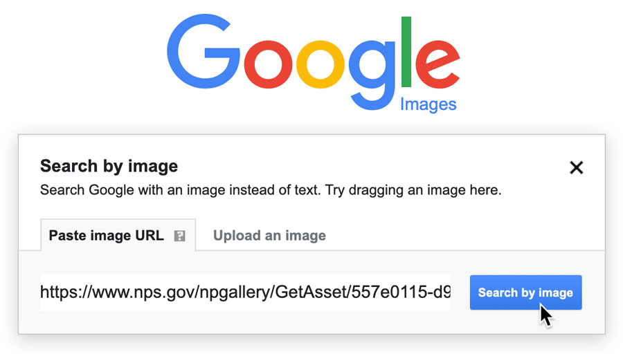 How do I put an image into Google search?