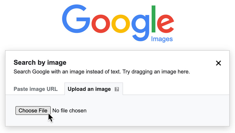 google image search upload photo