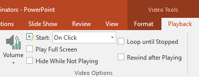 The Video Options group