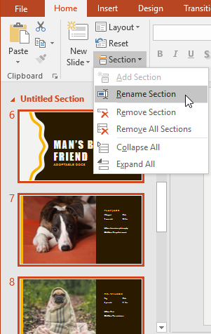 Clicking Rename Section