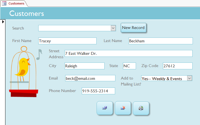 Access: Formatting Forms