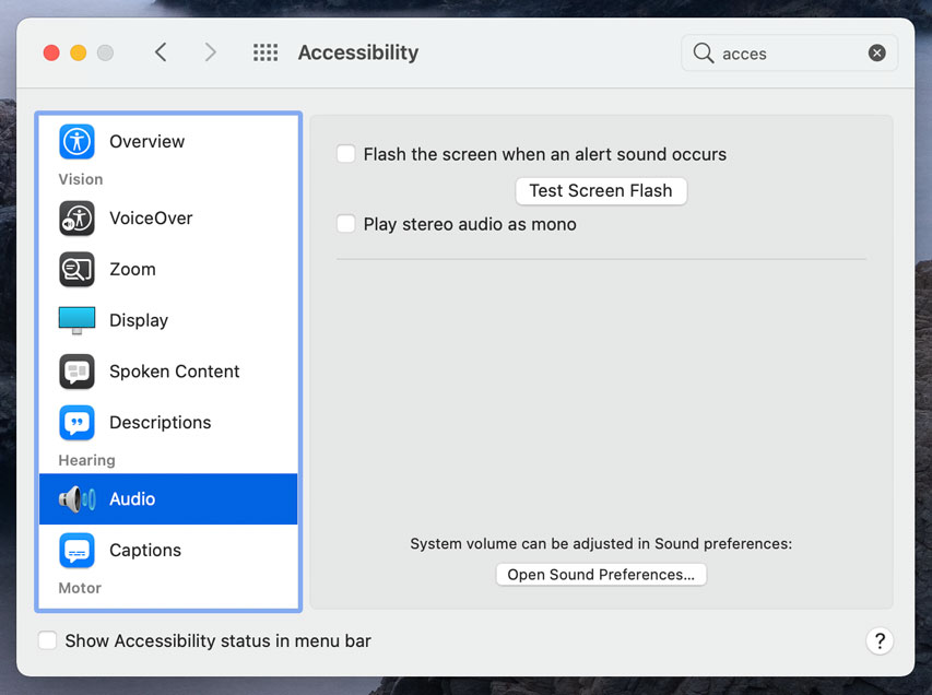 accessibility menu