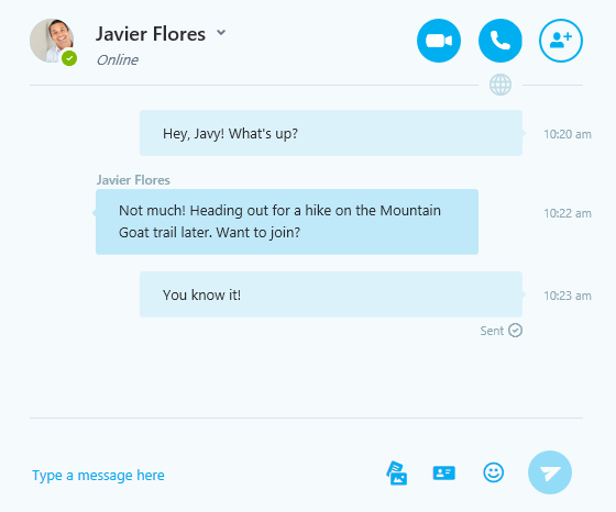 skype messages