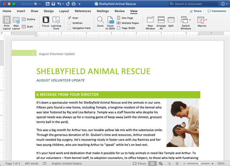 screenshot of Microsoft Word in macOS