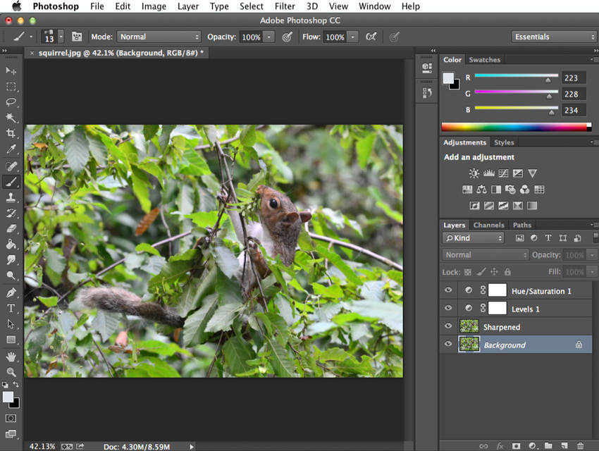 view photoshop cs6 zoom percent tool