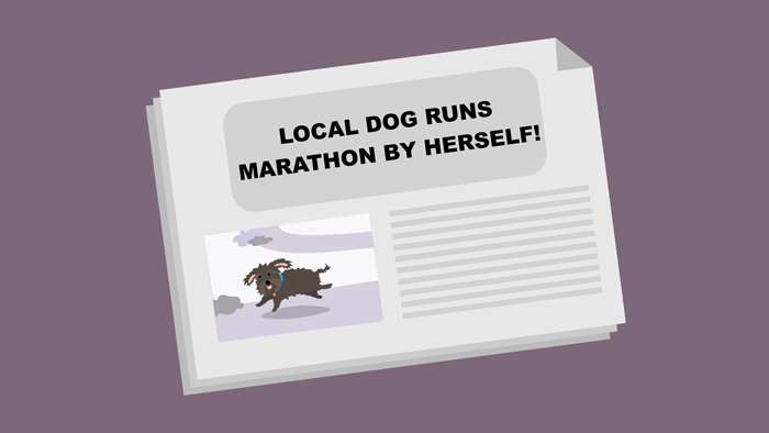 A newspaper featuring a manipulated photo of a dog running a marathon.