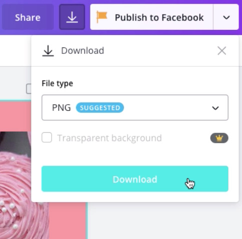 screenshot of "PNG" file type and "Download" button