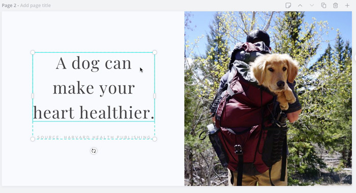 screenshot of dog in backpack quote post
