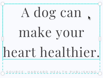 screenshot of dog quote about heart health