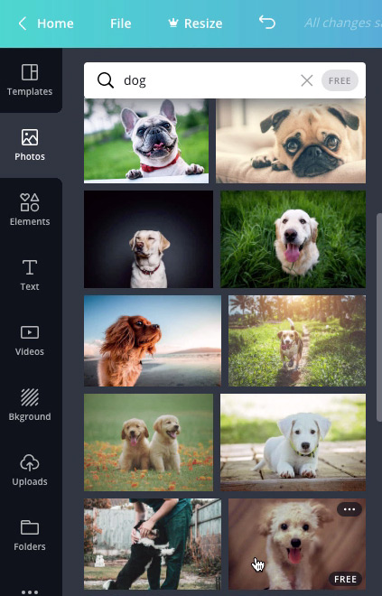 screenshot of "dog" photo search results