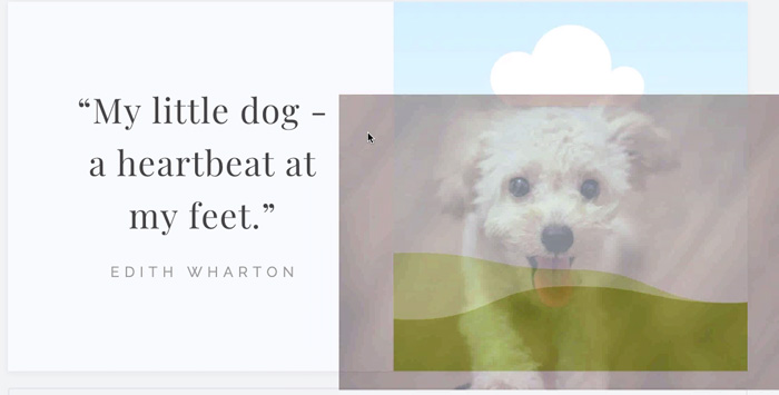 screenshot of dog photo being dragged onto grid