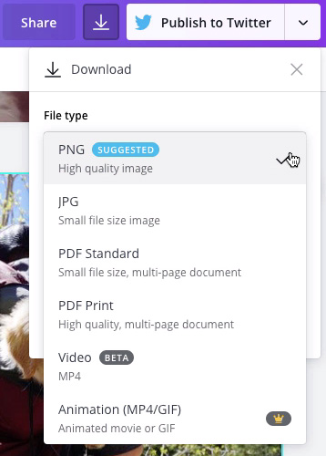 screenshot of file type options