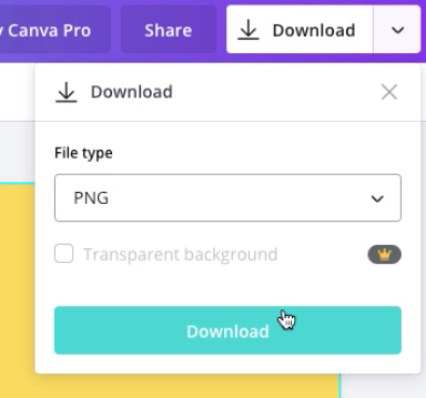 screenshot of "PNG" file type and "Download" button