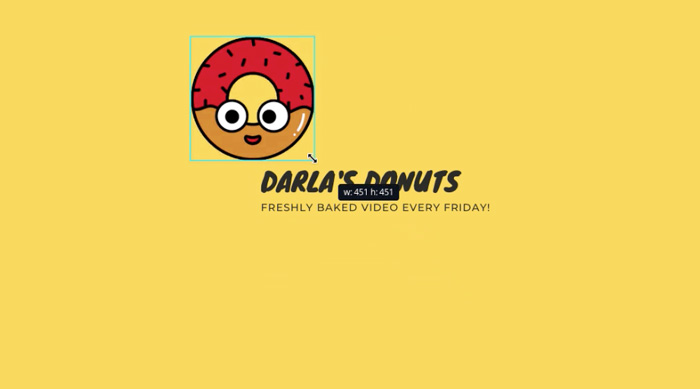 screenshot of donut with resizing
