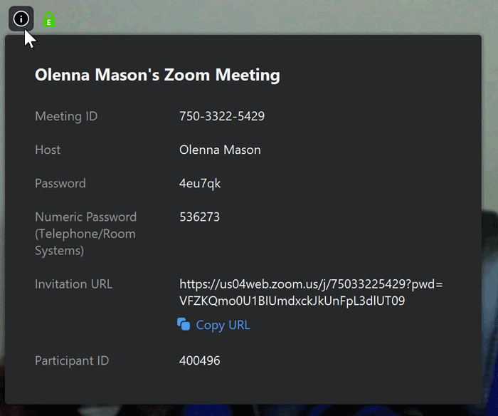 A screenshot of the meeting info box in the Zoom app.