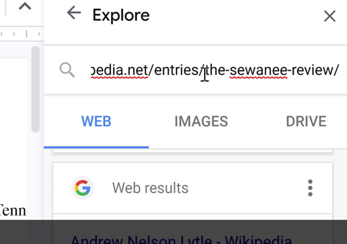 URL pasted into search bar
