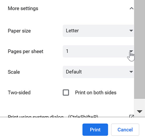 viewing more settings pages per sheet option