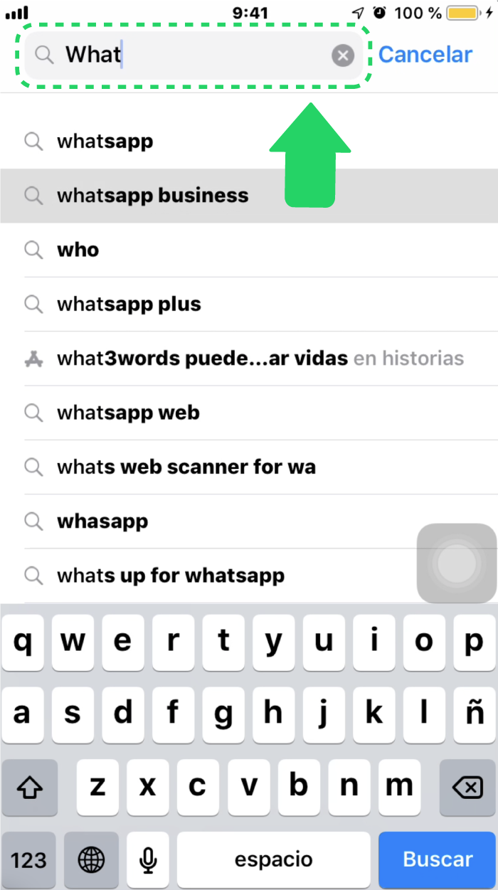 ¿Cómo aparece WhatsApp Business en la App Store?