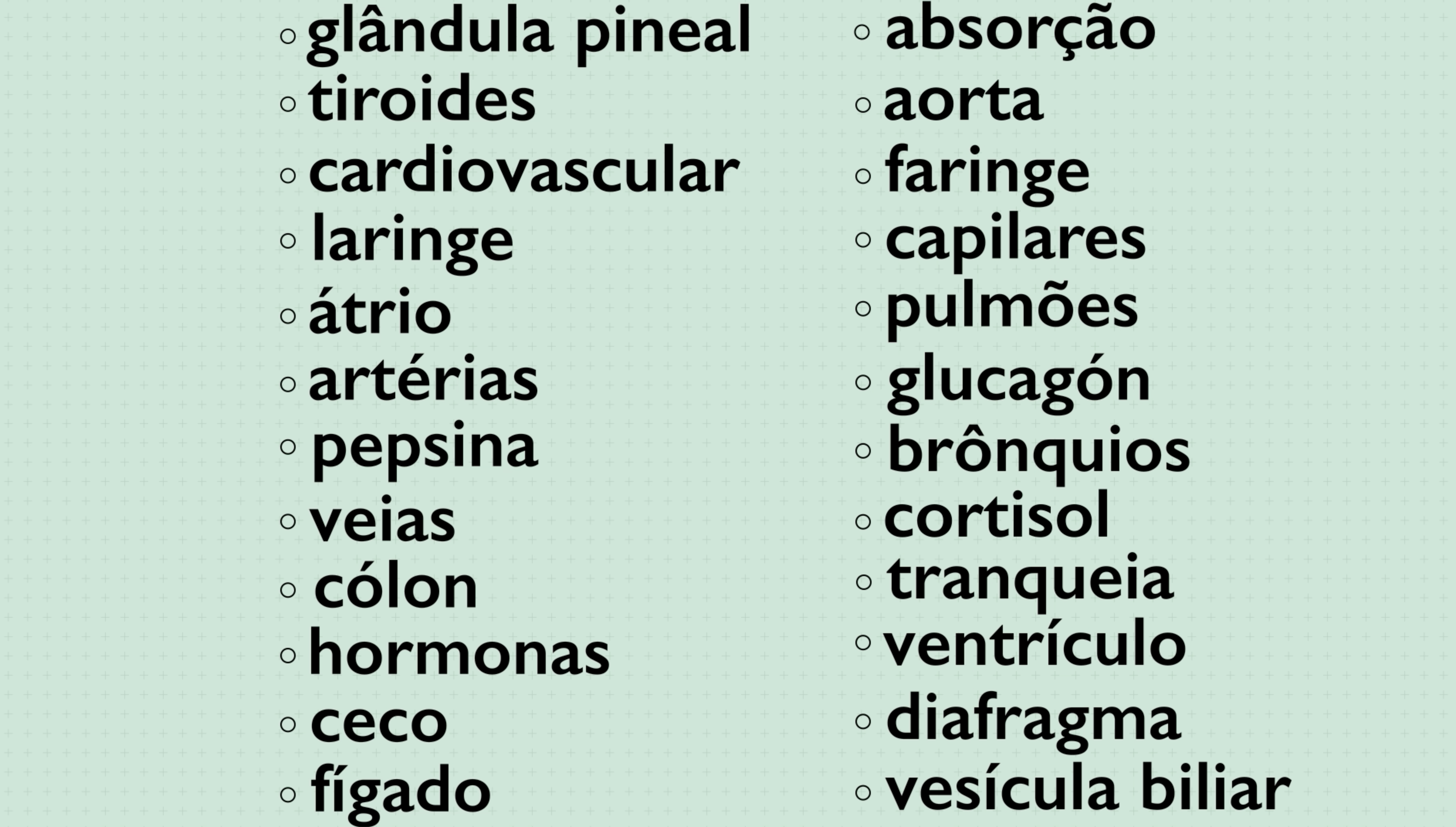 Memorizar uma lista de vocabulário sem organização é muito mais difícil para nosso cérebro.