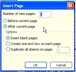 insert page dialog box