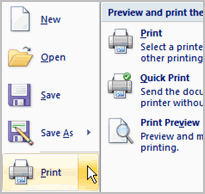 print preview icon