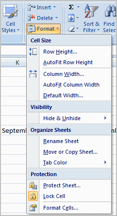 Excel 2007 Modifying Columns Rows and Cells