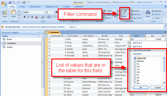 access 2010 report filter