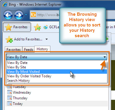 Browsing History Options